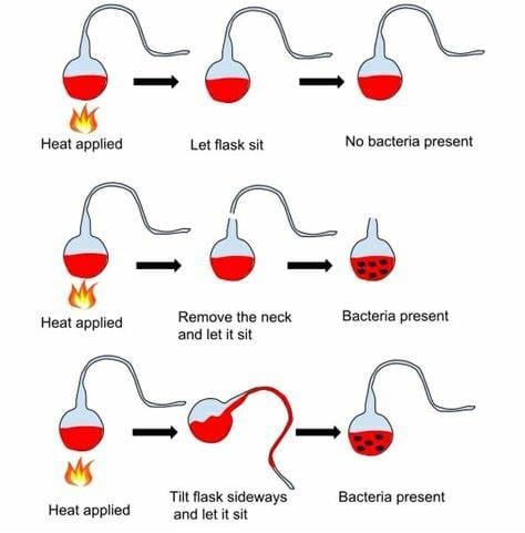 How Revolutionary Ideas Are Born
